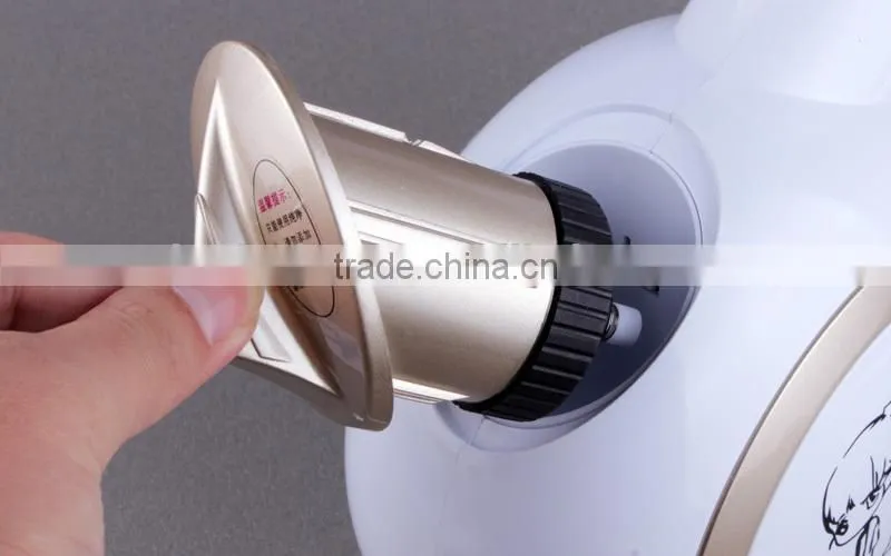 Beauty face steaming device F828-2 (Gold)