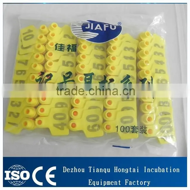 yellow ear tag