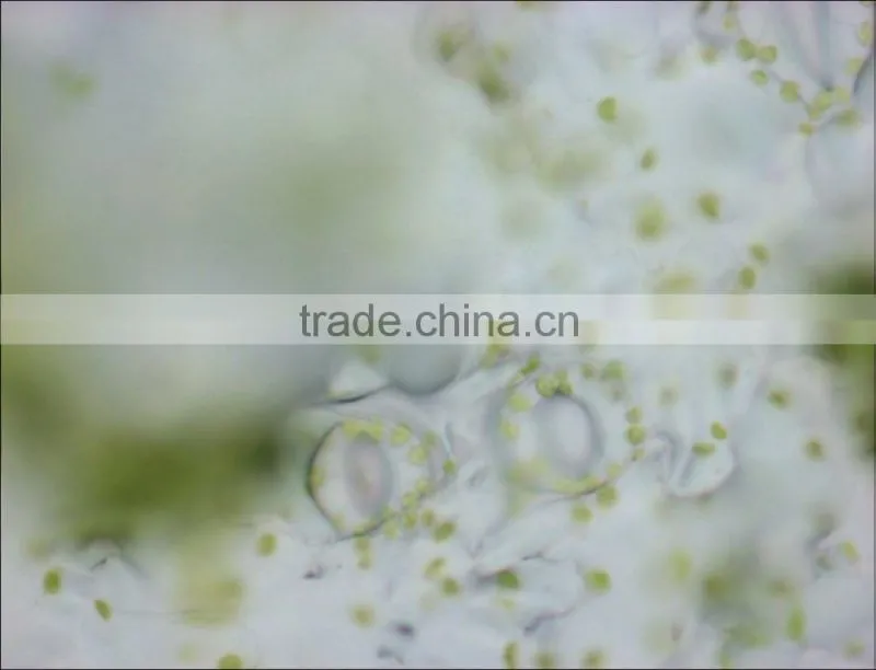 SONY ICX285 2/3" Imaging sensor Color for Machine vision and inspection
