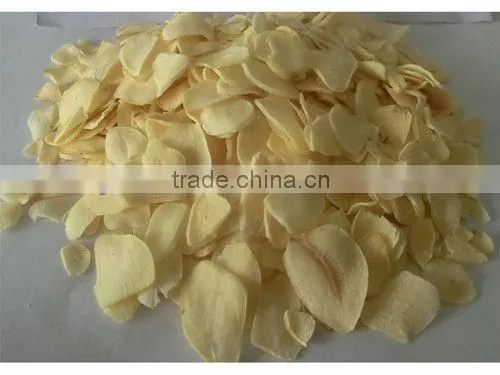 shandong garlic dehydration plant