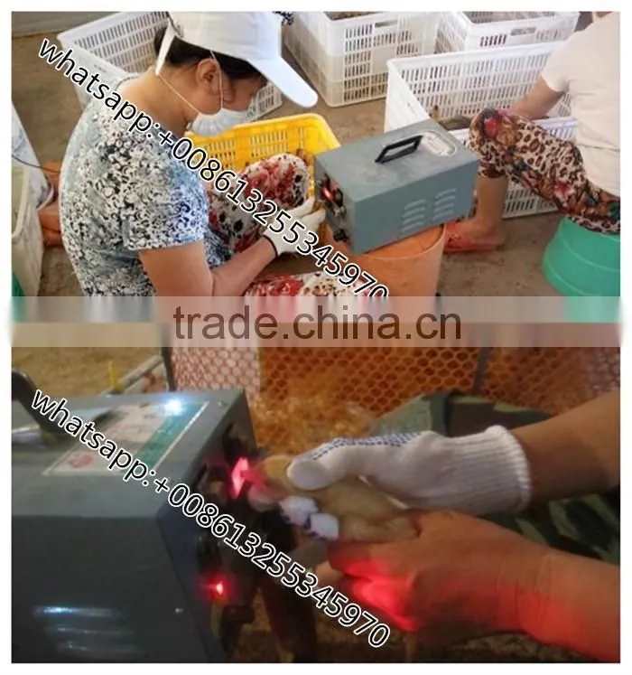 OUCHEN chicken debeaking machine beak cutter chicken mouth cutting machine for sale