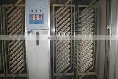 automatic egg hatcher incubator