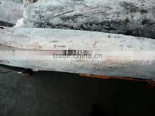 frozen fresh black marlin HGT cash sale