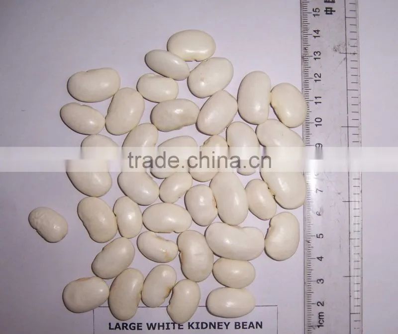 2015 white kidney beans for sale with cheaper price from china