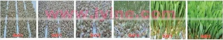 Made in China barley fodder hydroponic machine
