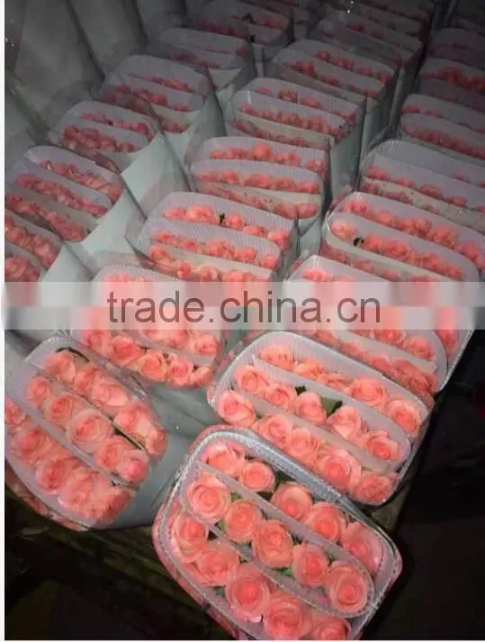 Wholesale Grade A Fresh Roses From India Fresh Rose Petals