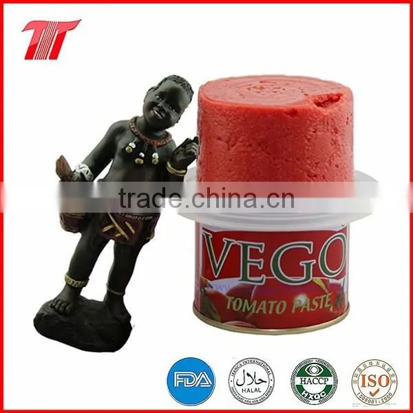 70g Tomato Paste of VEGO Brand Packing in Sachet