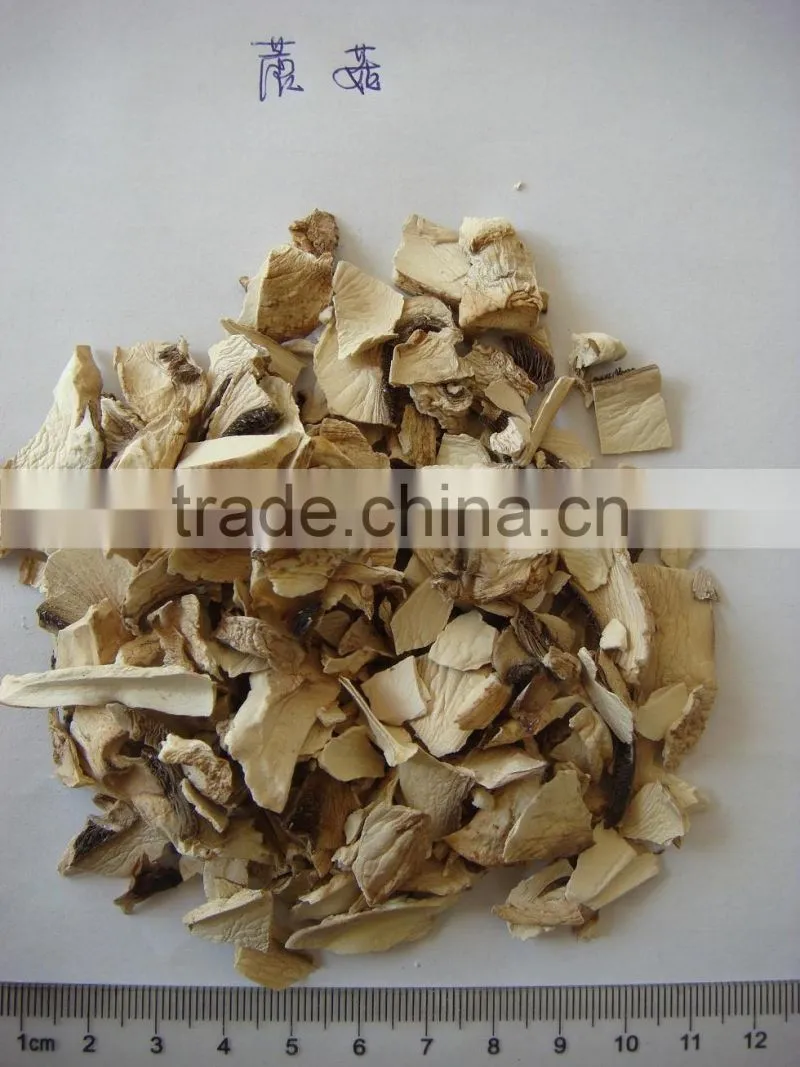 Hot product mushroom powder best selling products in japan
