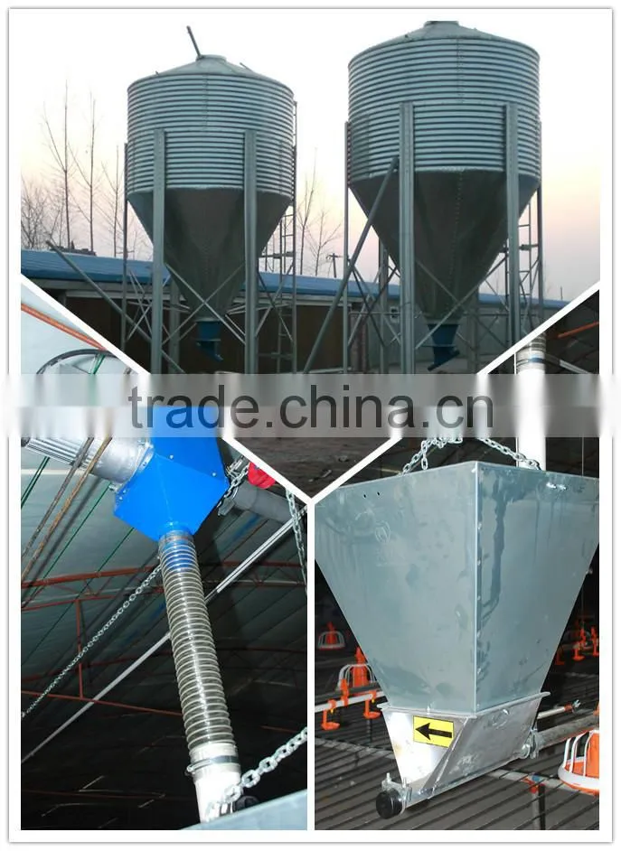 Meat chicken poultry feeding line