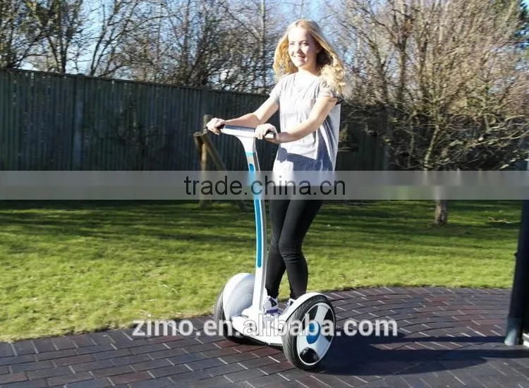 China electric chariot