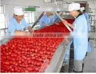 2013 Upgrade high quality Ketchup production line/system