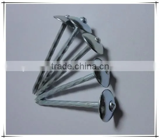 Hot-selling polished common nails / roofing nails / flat head nails