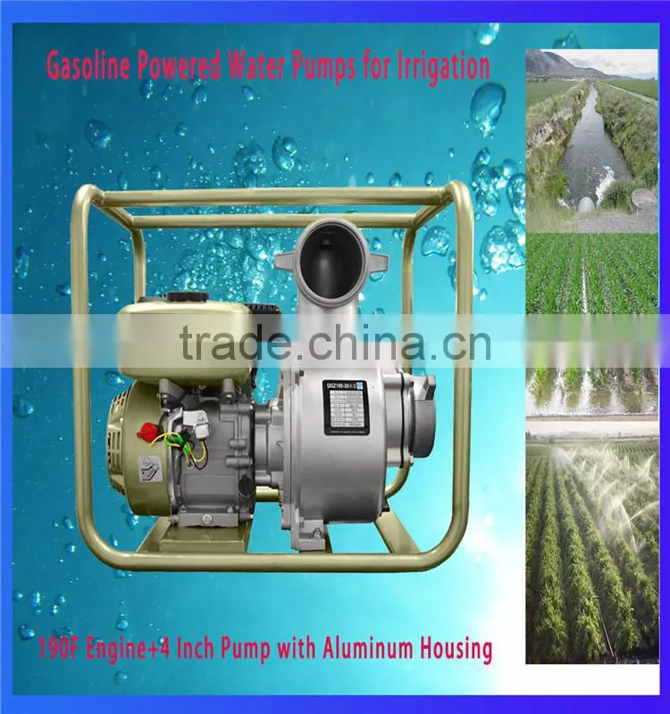 Hydraulic Power and Low Pressure Pressure Hand Water Pump