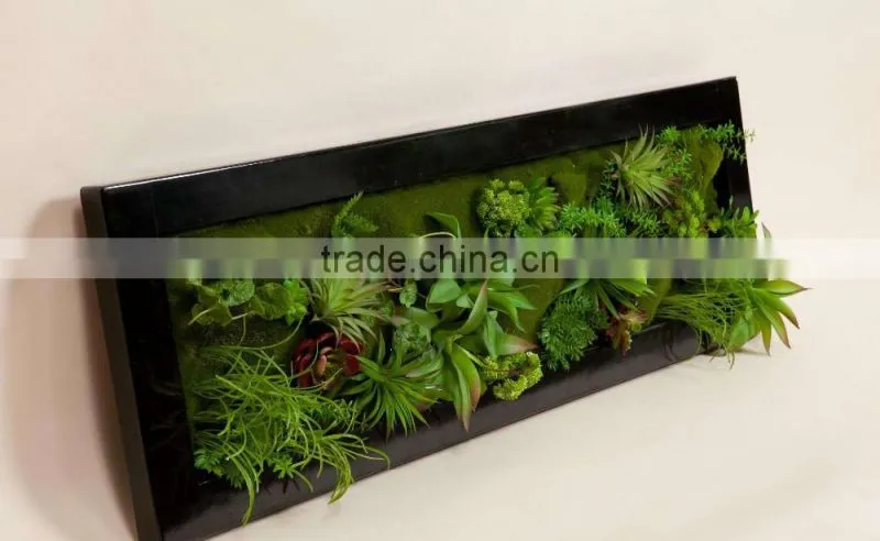New wall frame with artificial plants
