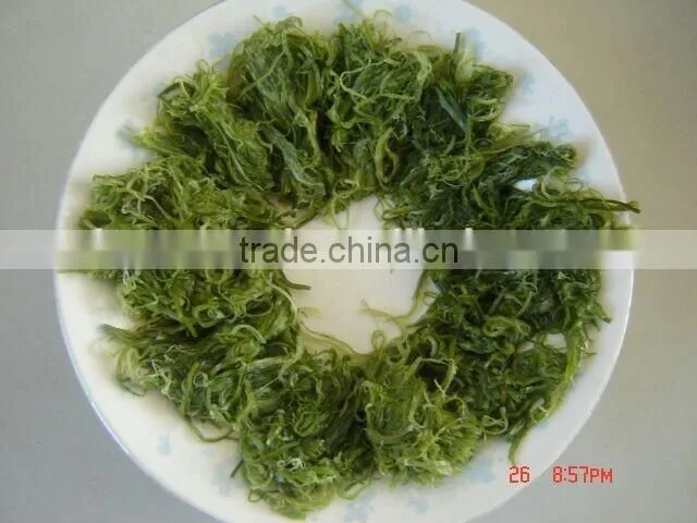 No Seasoning Frozen Wakame Stem Seaweed Raw Material