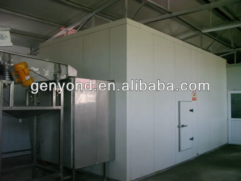 Frozen Fruits Vegetable Processing Machine Production Line1