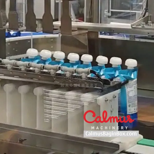 Comprehensive Case Packing Solutions for Stand-Up Pouches