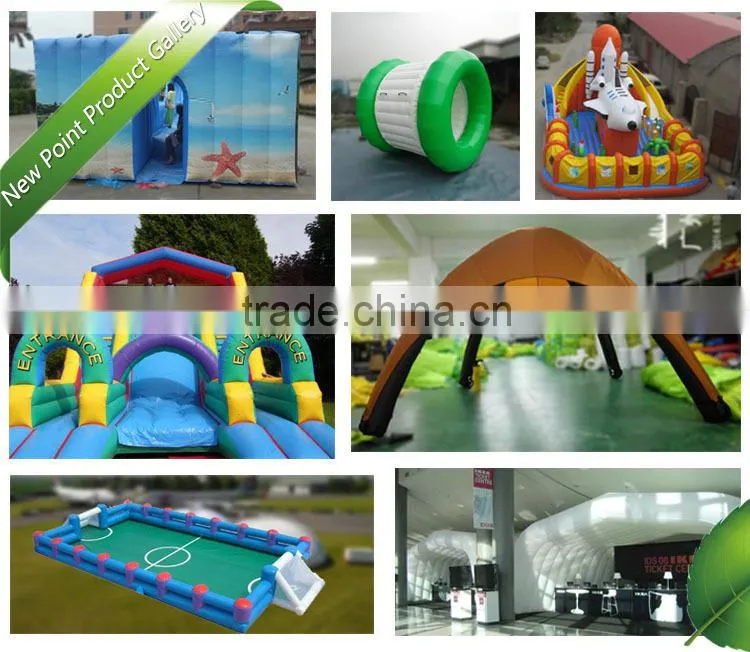 New Point PVC Shark Theme Inflatable Water Park