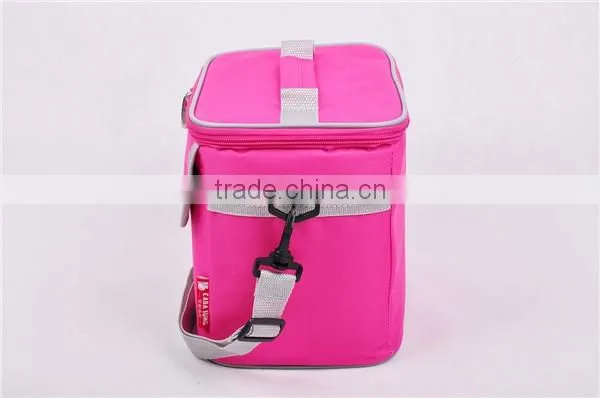 Insulated food cooler bag for frozen food Picninc cooler bag