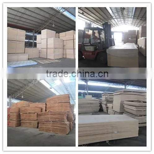 Shuttering Plywood/Waterproof Plywood/Construction Plywood