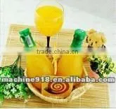 2012 new design Stoning and pulping machine
