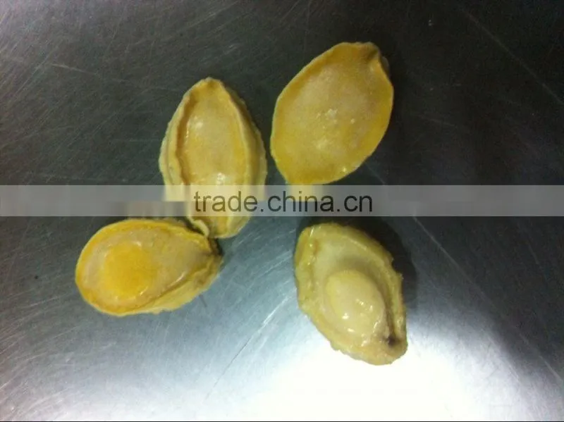 frozen abalone with shell for sale