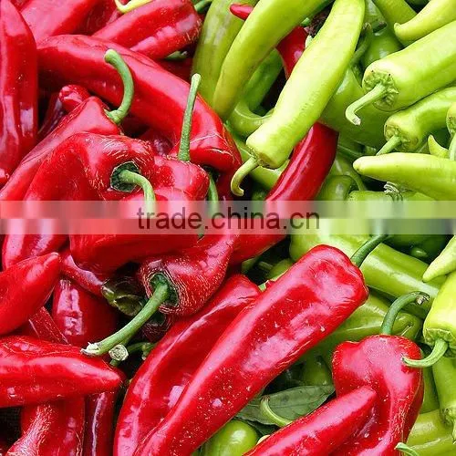 Indian Oleoresin Capsicum by AOS
