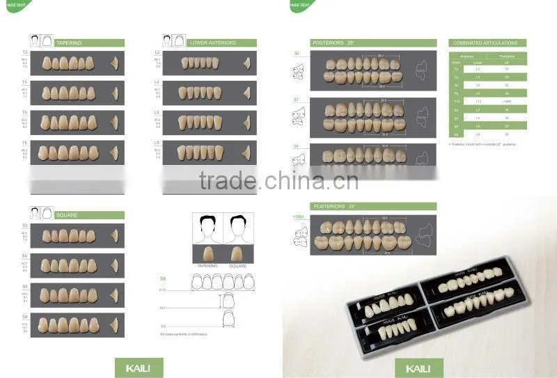 CE certification artificial teeth acrylic teeth