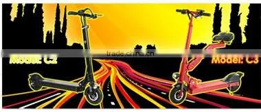 Daul systerm electric unicycle skateboard 2016