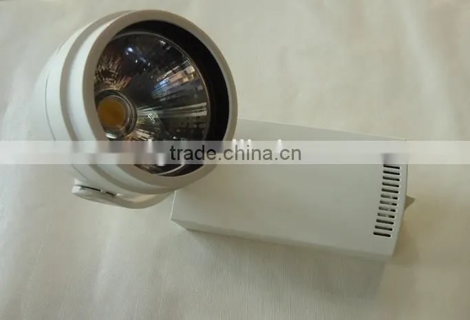 beam angle 15 degree 25 degree COB Spot ligt 15w 20w 40w 60w one/Two/Three Heads(TongDa)