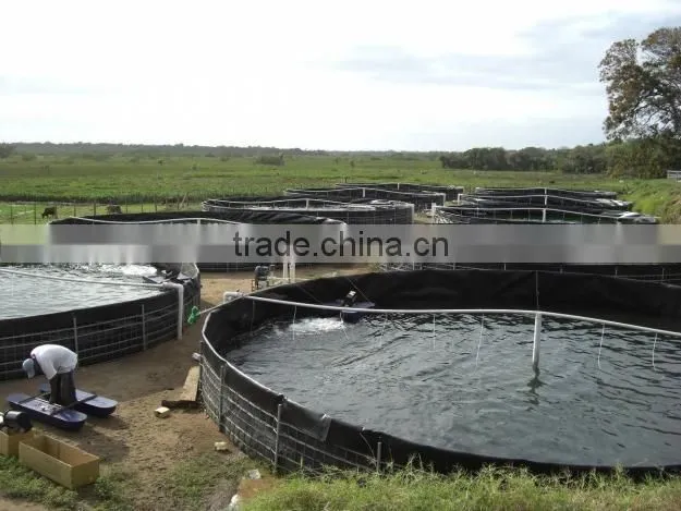 plastic round tanks for fish farming with aquaponics