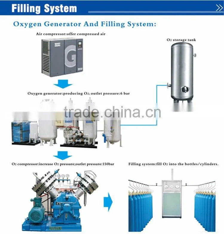Professional Supplier for Oxygen Generator