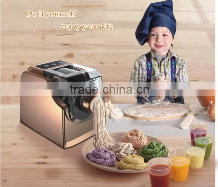 2015 elegant appearance home noodel maker