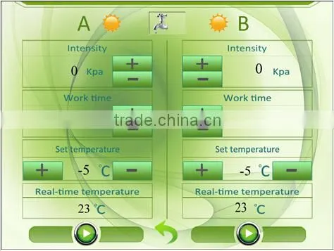 Portable Fat Reducing Machines Cryolipolyisis/Mini cryolipolyiisis fat freezing machine for home use