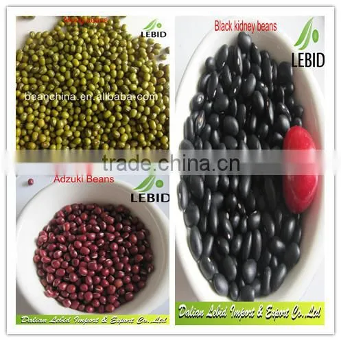 New Crop Butter Beans, Dry Butter Beans At Low Price