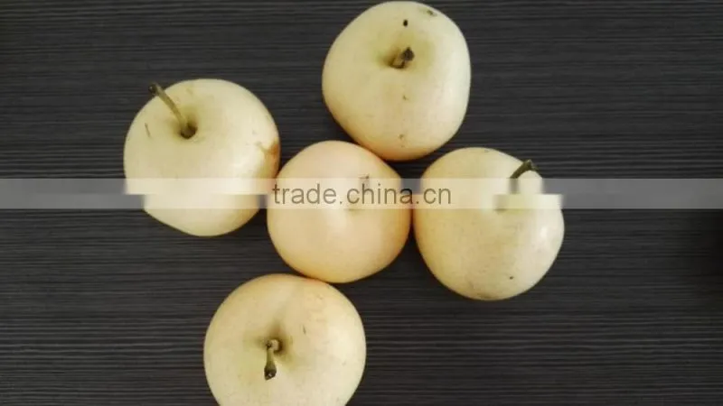 fresh fruit exporter from china fresh pear
