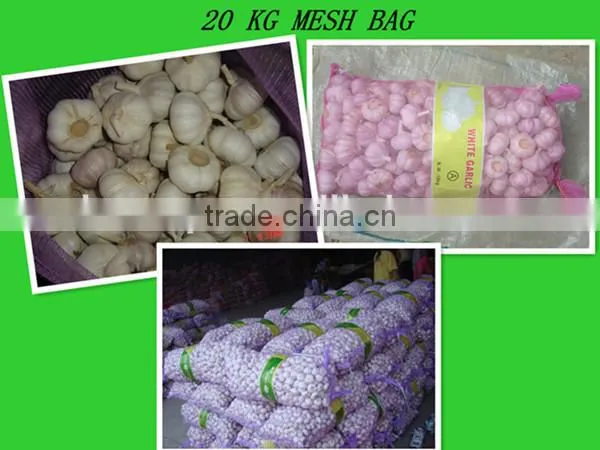 chinese garlic