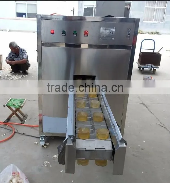 Garlic Root Concave Cutting Machine|Garlic Root Cutting Machine|Garlic Root Cutter