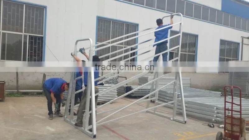 Galvanized handling Cattle loading ramp