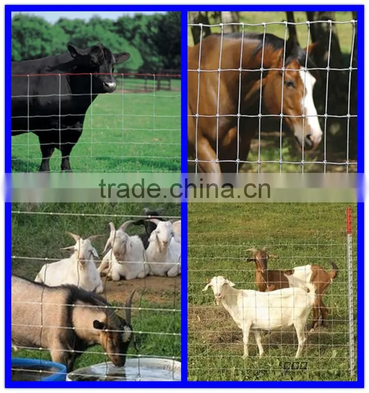 Anping Deming Factory Hot Sales Hot Dipped Galvanized Field Wire Mesh Fence