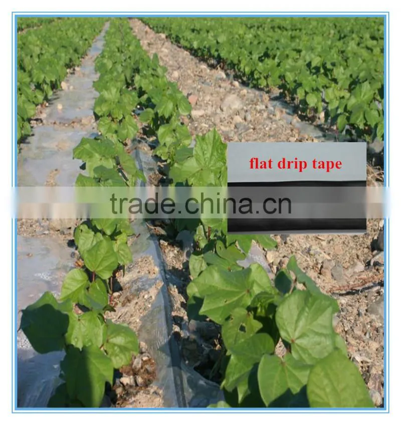 drip irrigation tape with continuous drippers