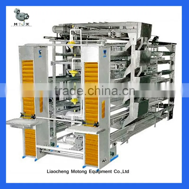 Automatic poultry equipment for layer quail raising