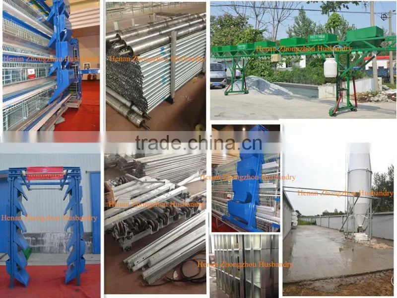 New Design Broiler Cage System