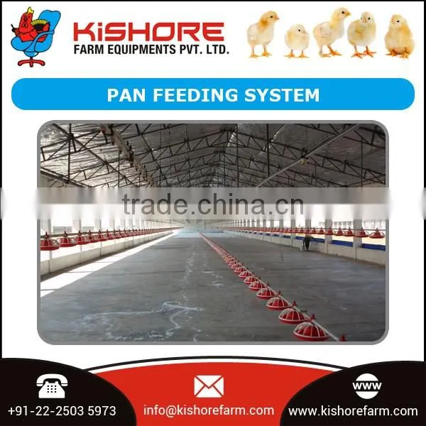 Automatic Pan Feeding System