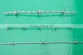 QIang Yu Factory Best Price Barbed Wire