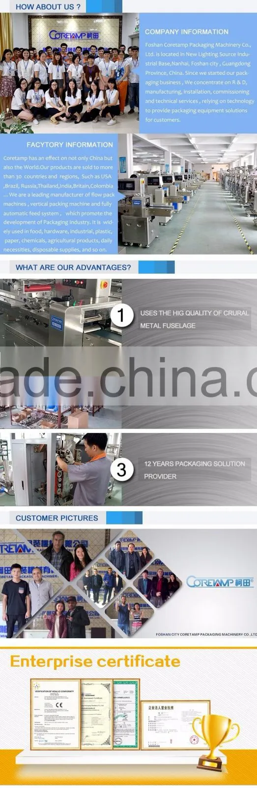 ZV-320B Automatic Potato Crisps Packaging Machine