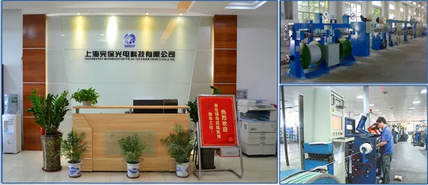 Shanghai Wanbao Optical Technologies Co,. Ltd. company overview - view 1