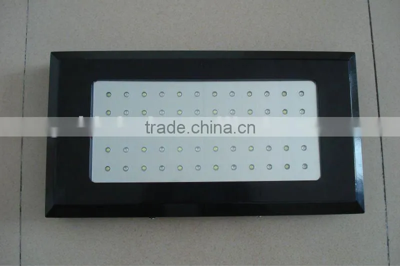 14000K dimmable aquarium lighting fish tank