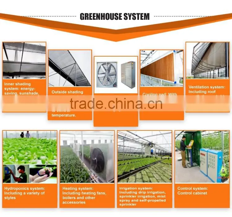 Large glass agricultural greenhouses indoor glass greenhouse used