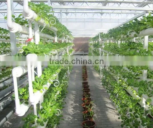 Grow Hydroponc System